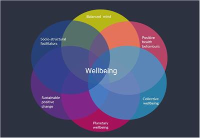 Nurturing wellbeing amidst the climate crisis: on the need for a focus on wellbeing in the field of climate psychology